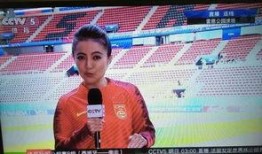 爆料足球主播视频,场内场外那些不为人知的秘密