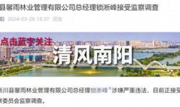 河南南阳最新爆料,揭秘古城新动向