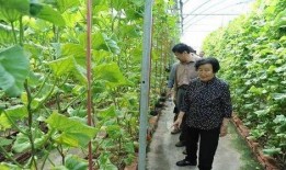 网红吃瓜爆料雅典娜是真的吗,雅典娜身份之谜，真相究竟如何？