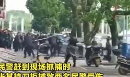 散兵爆料被抓视频大全集,揭秘背后真相与争议