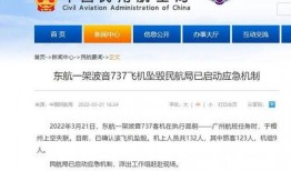 东航最新爆料,揭秘神秘事件背后的真相