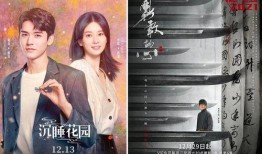 娱乐圈男女乱象爆料小说,揭秘男女乱象背后的真相