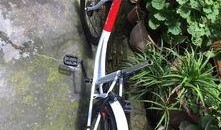 进口自行车爆料视频播放,视频曝光背后的品质与价格真相