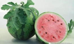 武都吃瓜网红是谁啊视频,武都吃瓜网红是谁？视频带你一探究竟