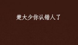 认错人最新大爆料在线观看,揭秘真相，在线观看不容错过