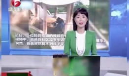 爆料新闻节目是真的吗,爆料新闻节目真实性大揭秘