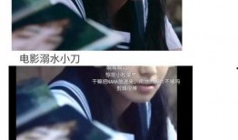 吃瓜娱乐圈最新语录图片,吃瓜群众笑翻全场