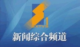 陕西电视台官网新闻爆料,聚焦本地热点事件，揭示社会现象