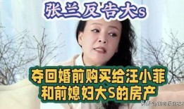 台媒爆料张兰董宇辉视频,台媒揭秘惊人内幕