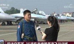 深圳飞行员爆料最新消息,揭秘飞行安全与行业内幕