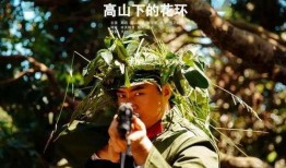 高山下的花环在线观看,重温革命岁月，共赏英雄风采
