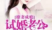 在线观看试婚,在线观看，开启婚姻试水之旅