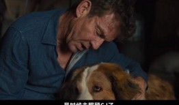 一条狗的使命2高清在线观看,狗狗使命续篇高清在线观影指南
