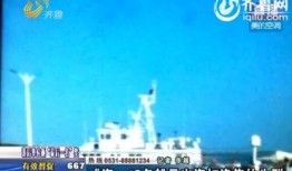 出海船员爆料视频大全,爆料视频大全背后的故事