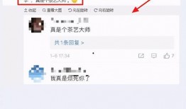 李菲儿爆料短信视频播放,娱乐圈再掀风波