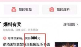 今日头条小丽爆料,揭秘今日热点背后的惊人真相！