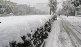石家庄爆料下雪事件视频,石家庄惊现罕见大雪奇观！