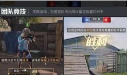 流浪者新爆料视频播放,流浪生活背后的真实故事