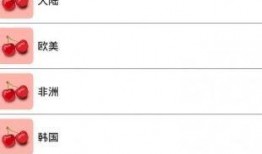 樱桃爆料视频下载安装最新版