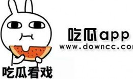 专门吃网红瓜app,APP带你畅游娱乐圈幕后风云