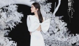 浪姐八卦爆料视频,视频爆料背后的惊人真相