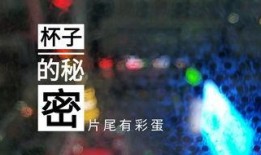 苏州饭店爆料视频最新版,细节曝光，真相大白