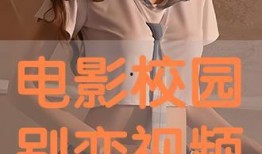 春秋别恋爆料视频在线观看,揭秘视频背后的情感纠葛与时代变迁