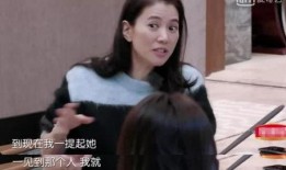 袁咏仪娱乐圈爆料,一场星光璀璨下的暗流涌动