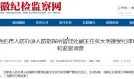 安徽合肥新闻爆料,突发事件引发关注，详情即将揭晓