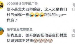哈佛师傅爆料视频大全集,视频大全集深度解析