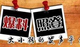 最新时事爆料新闻,最新时事爆料，揭开神秘事件真相