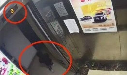 杭州爆料女孩事件视频最新