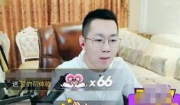 王小源天涯爆料视频播放,揭秘娱乐圈不为人知的幕后真相