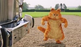 加菲猫2在线观看,欢乐再续，萌宠冒险新篇章