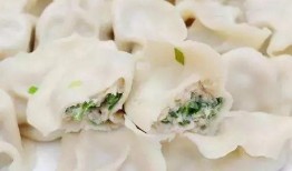 鲅鱼饺子爆料视频播放大全,美味佳肴瞬间呈现