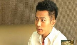 刘恺威律师爆料视频播放,揭秘事件背后真相