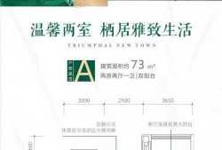 河南一小区爆料新闻视频,业主维权引发关注，真相令人震惊！