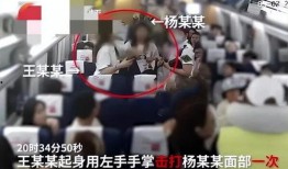 网友爆料越南事件视频完整版,揭秘真相与冲突背后的故事