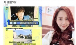 韩亿郑燕姿最新爆料,幕后故事与情感纠葛大公开