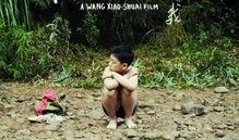 我11电影在线观看,揭秘激情燃烧的岁月