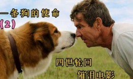 一条狗的使命2高清在线观看,狗狗使命续篇高清在线观影指南