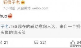 圈内人爆料jdg兮夜连接成功,连接成功开启新篇章
