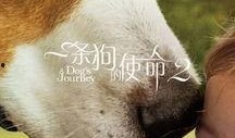 一条狗的使命2高清在线观看,狗狗使命续篇高清在线观影指南