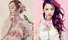 杨幂被爆料完整视频,真相与争议并存