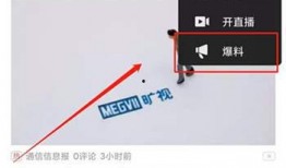 爆料视频怎么看不到,作为一个文本处理AI，我无法直接观看视频或处理视频内容。因此，我无法根据爆料视频生成概述文章的副标题。如果您能提供视频中的关键信息或描述，我可以帮助您构思一个合适的副标题。