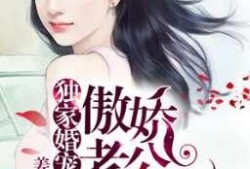 傲娇的吃瓜路人小说免费阅读,揭秘娱乐圈背后的秘密