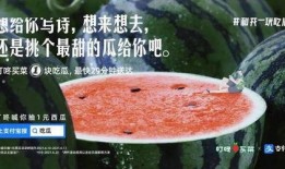 关于娱乐圈的吃瓜文案,揭秘明星幕后故事