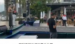 网友爆料越南事件视频完整版,揭秘真相与冲突背后的故事