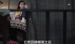 云朵姐爆料视频在线观看,精彩瞬间在线观看回顾