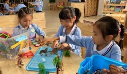 珠海幼儿园爆料事件最新,惊人内幕揭露幼儿教育乱象